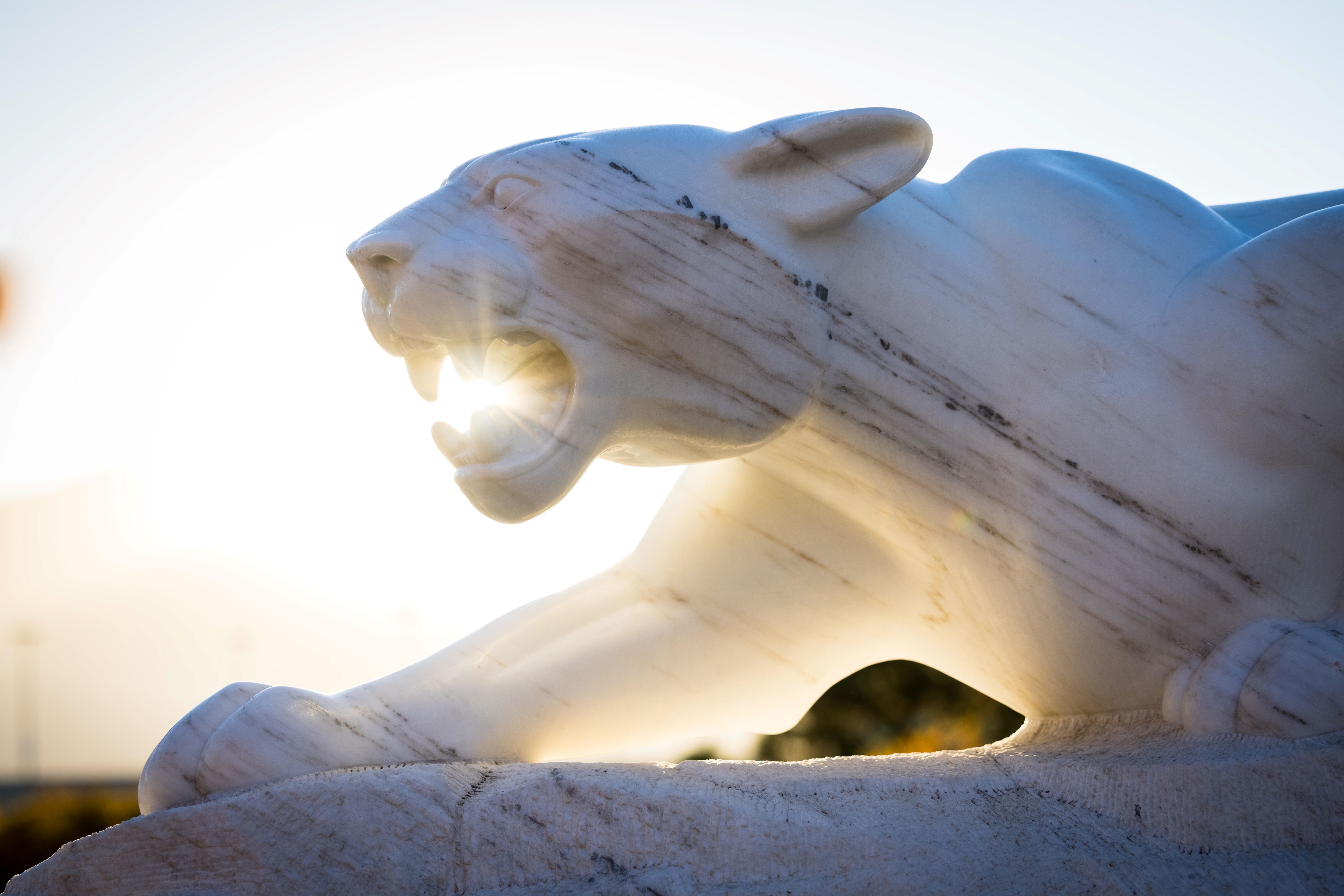 Mountain Lion statue 