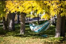 Hammock hanging between two tress in the fall 