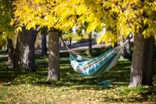 Hammock hanging between two tress in the fall 